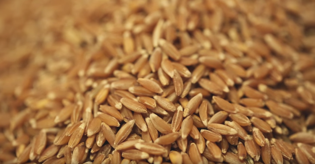 What is stoneground whole wheat? - Back to the Roots Blog